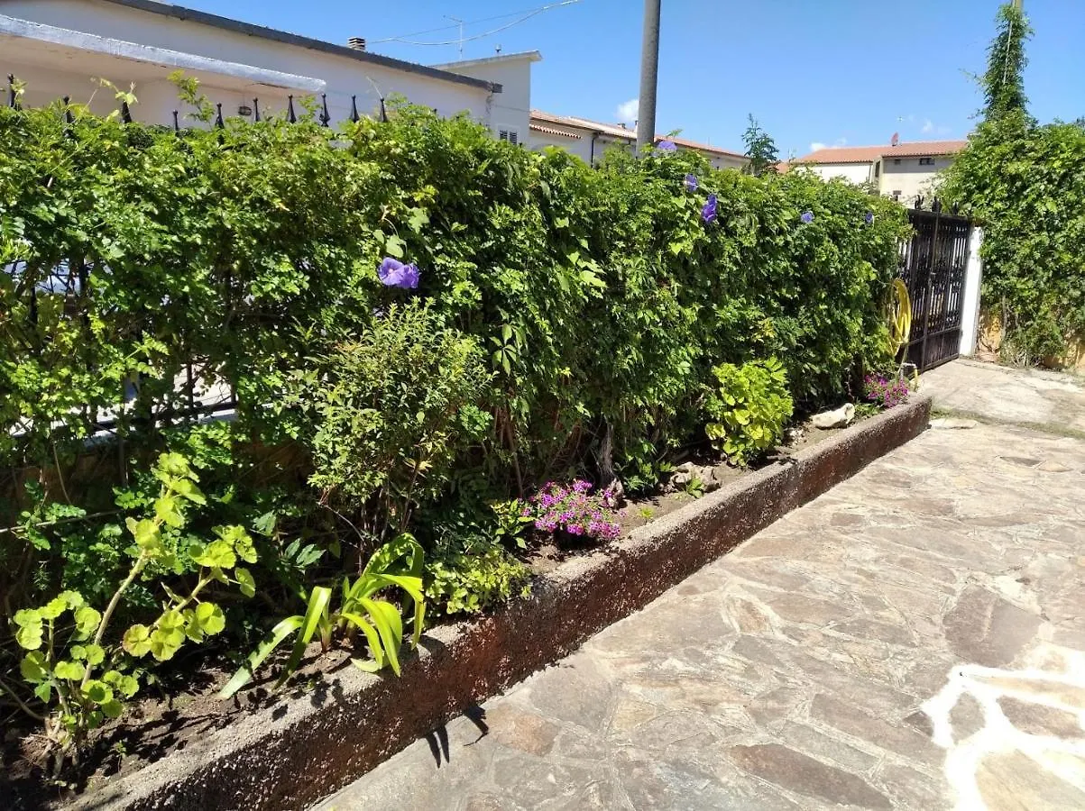 Residenza Le Margherite Budoni Casa vacanze